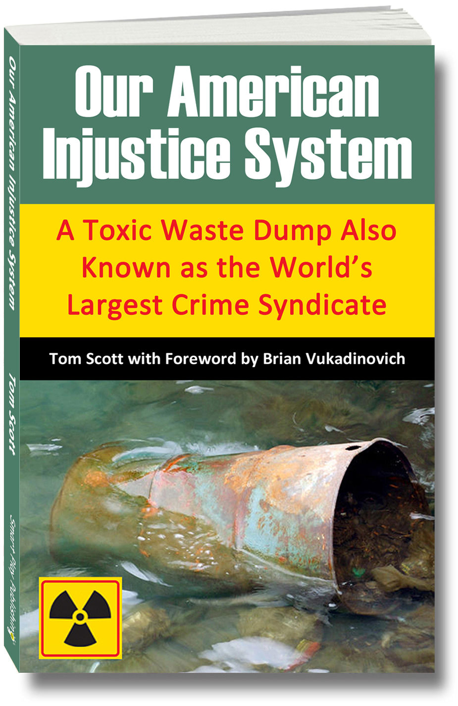 Our American Injustice System book